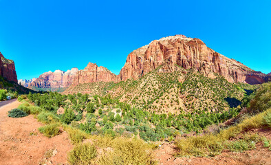 Zion National Park Red Rock Majesty with Motion Perspective