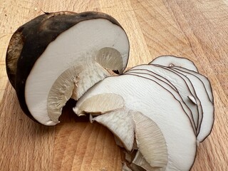 Boletus, setas, laminadas para ser desecadas.