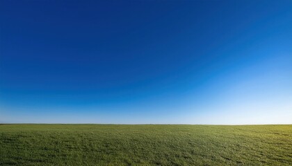 Fototapeta premium Vast Green Field Under a Clear Blue Sky: A Serene Landscape