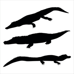 Fototapeta premium Animal Crocodile Black Silhouette vector illustration