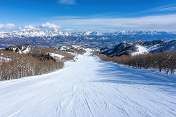 A breathtaking panoramic view of snowy mountain slopes adorned with bare trees, illustrating the pristine beauty of a winter landscape under bright sunlight.