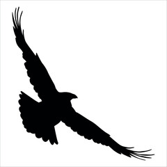Bird Crow Silhouette Vector illustration