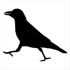 Bird Crow Silhouette Vector illustration