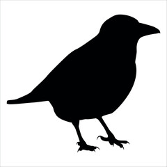 Bird Crow Silhouette Vector illustration