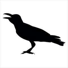 Bird Crow Silhouette Vector illustration