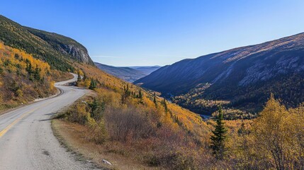 Winding mountain road with fall colors under a clear sky on a sunny day
