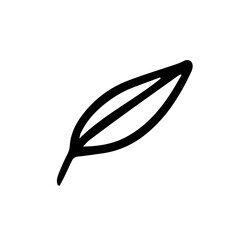 hand drawn leaf