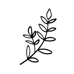 Obraz premium branch with leaves