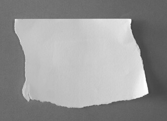 torn tear paper texture as background.