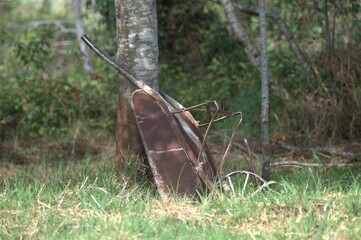 Wheelbarrow on the grass