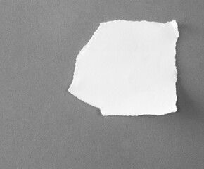 torn tear paper texture as background.