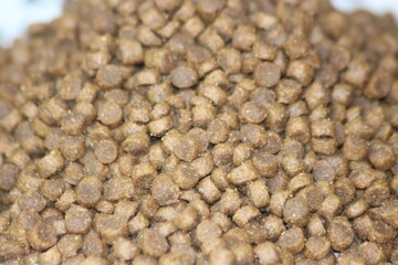 Closeup of cat food