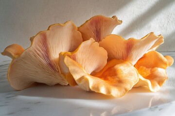 A cluster of vibrant, pale orange oyster mushrooms displayed on a marble surface, bathed in sunlight.