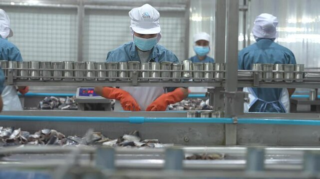 Workers processing fish on an industrial conveyor line in a modern food factory Focus on safety hygiene and efficiency in food manufacturing and packaging operations.