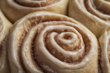 Fototapeta premium Deliciously swirled cinnamon rolls rising before baking in a cozy kitchen setting