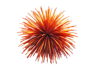 Obraz premium Magical Star-Shaped Fireworks Display in Enchanting Night Sky