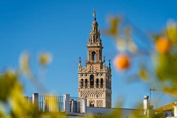 Sevilla Kathedrale & La Giralda an der Plaza del Triunfo, Sevilla, Spanien / Catedral de Sevilla
