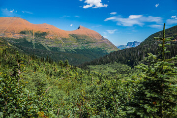 Stunning Forest and Mountain Views on the Iceberg Lake Trail, Many Glacier, Glacier National Park, Montana