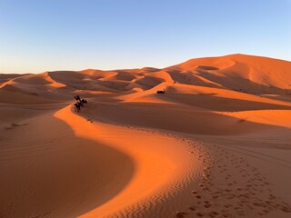desert country
