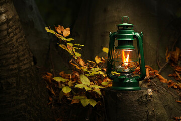 Vintage kerosene lamp near tree in forest at evening, space for text