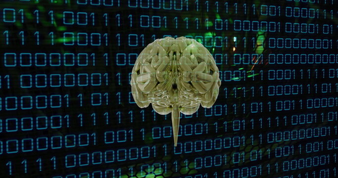 Image of human brain and binary coding data processing over computer servers