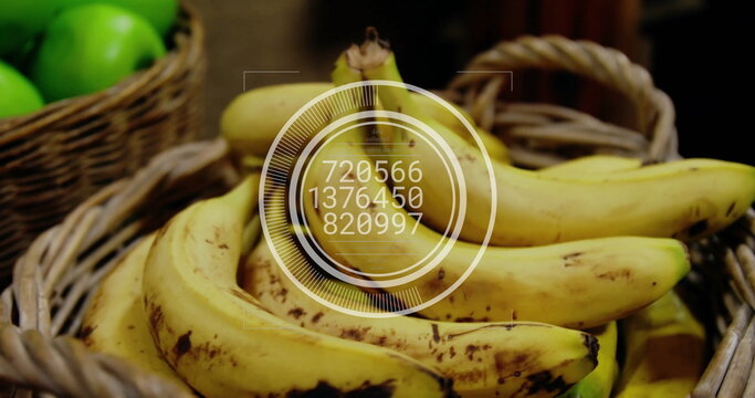 Image of data processing on circle over basket with bananas