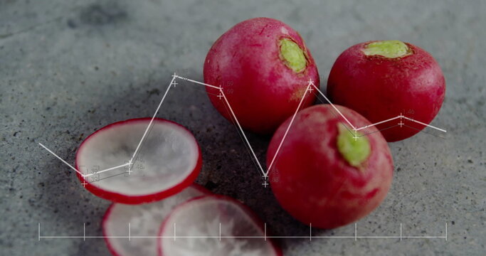 Image of data processing on diagrams over cut radish - Powered by Adobe