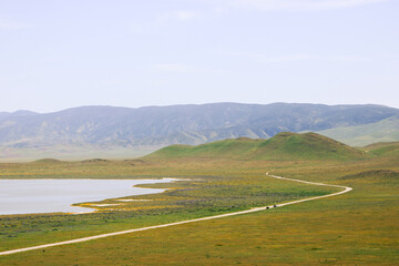 Carizzo Plain Road