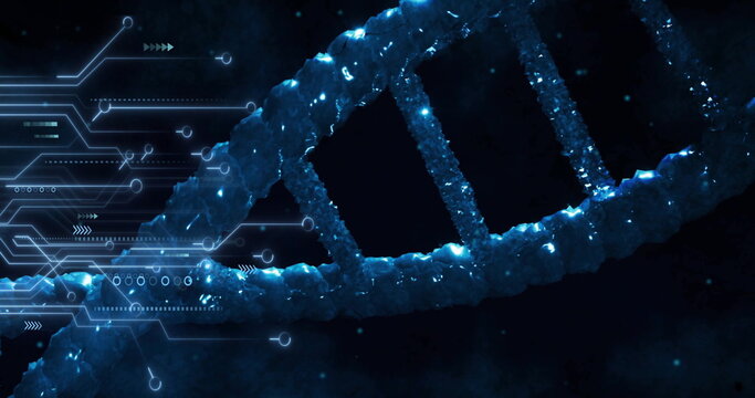 Image of digital data processing, circuit board over dna strand