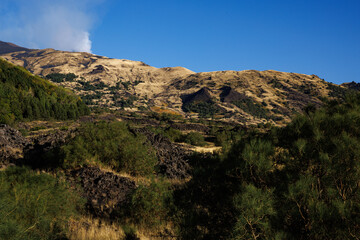 Yellow-green hills with dry grass create a stunning landscape near Mount Etna, with the majestic volcano visible in the distance. A perfect blend of natural beauty and serene Italian scenery.