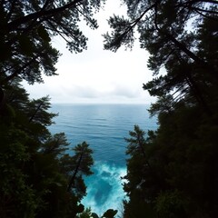Sea and forest scene.