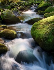 Serene mountain stream flowing over moss-covered rocks.