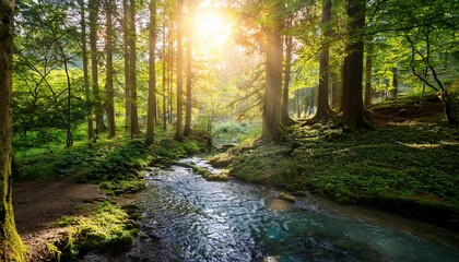 Obraz premium Sunlit stream flows through a lush green forest.