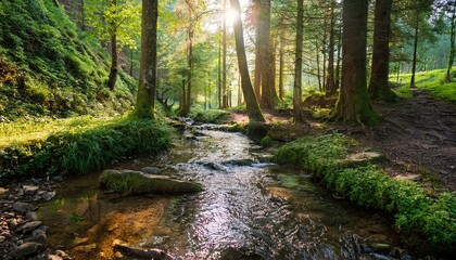 Obraz premium Sunlit stream flows through a lush green forest.