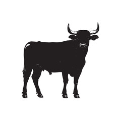 black and white cow