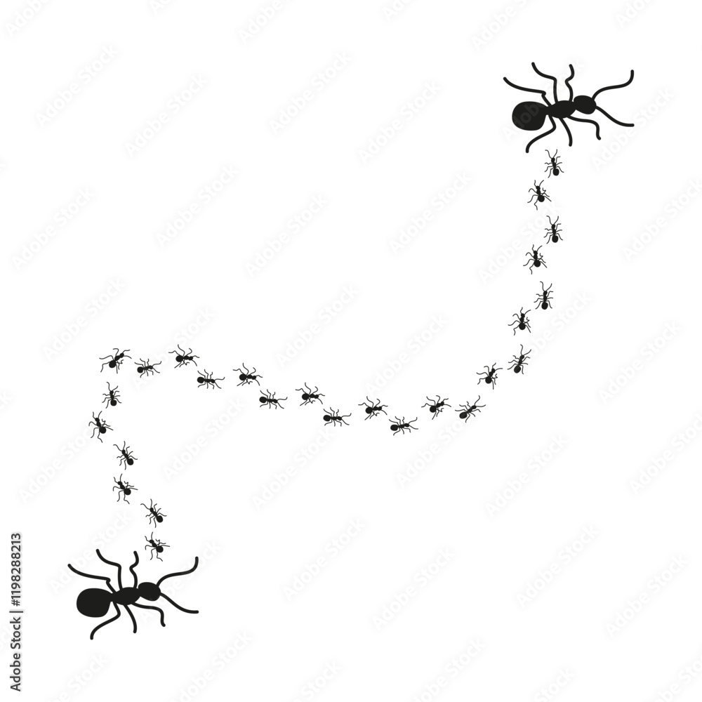 Poster ant trail design. abstract vector pattern. black marching ants. nature inspired composition.