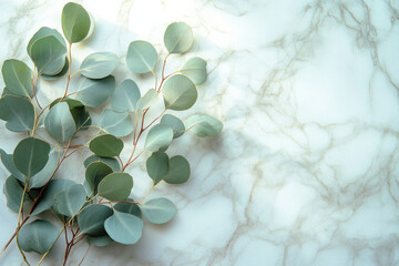 Eucalyptus leaves arranged on a marble background, creating a serene and elegant composition.