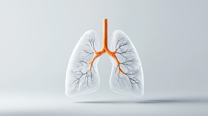 Anatomical rendering of lungs with visible bronchi and detailed structure