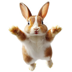 cute rabbit with brown and white fur is jumping against transparency background, showcasing its playful nature and vibrant expression. This lively animal captures attention with its energetic pose