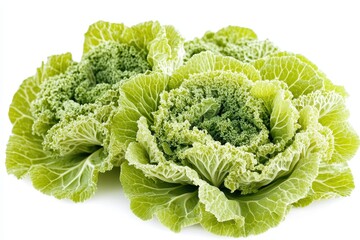Napa or Chinese cabbage on a white background preserving the clipping path