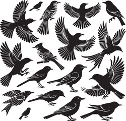 Obraz premium Seamless Background with Flying Birds Silhouettes in Minimal Style