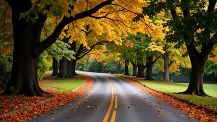 A captivating scene of an eye-level, close-up shot capturing a black asphalt road divided by vibrant yellow lines into dual lanes. As it meanders left and right, scattered orange and yellow autumn lea