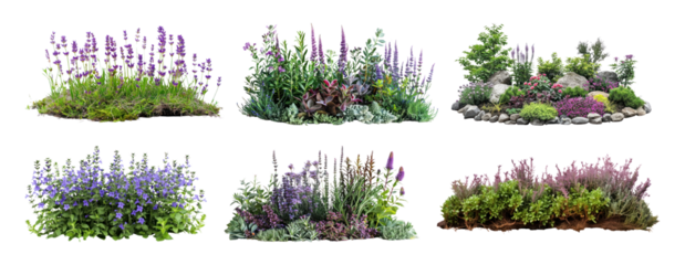 Lavender border png cut out element set, transparent background