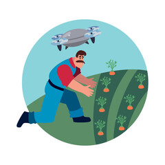 farmer picking carrots in field