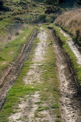 Obraz premium Car Tracks in the Muddy Rural Path
