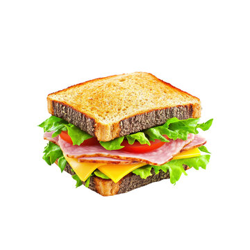 Delicious Ham and Cheese Sandwich on Toasted Whole Wheat Bread