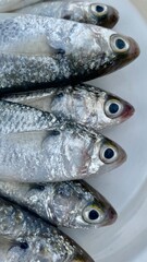 fresh fish on the market