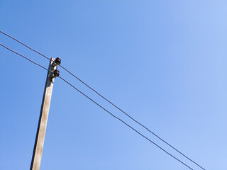 Electrical cables are installed on a concrete pole for distribution to residential houses on a sky background.