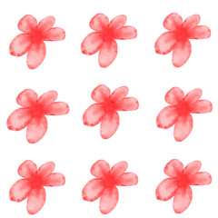 set of flowers pink 