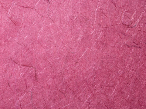 和紙　新生活　桜